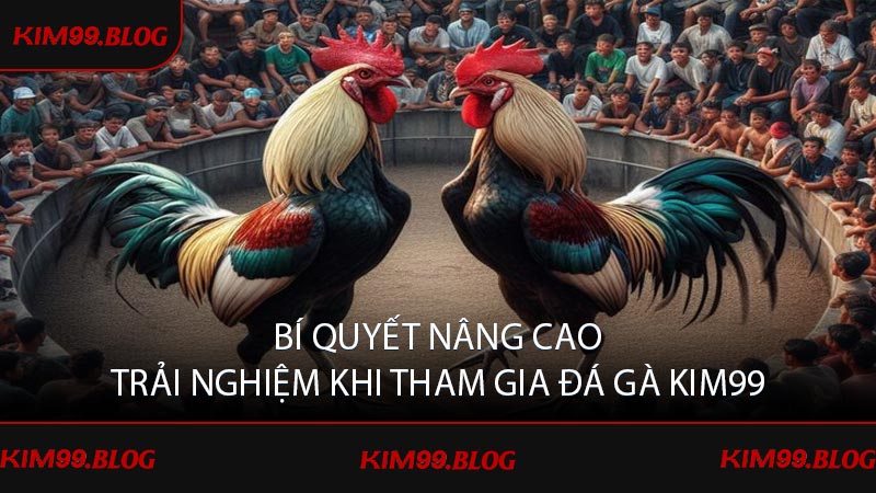 Bí quyết nâng cao trải nghiệm khi tham gia đá gà KIM99